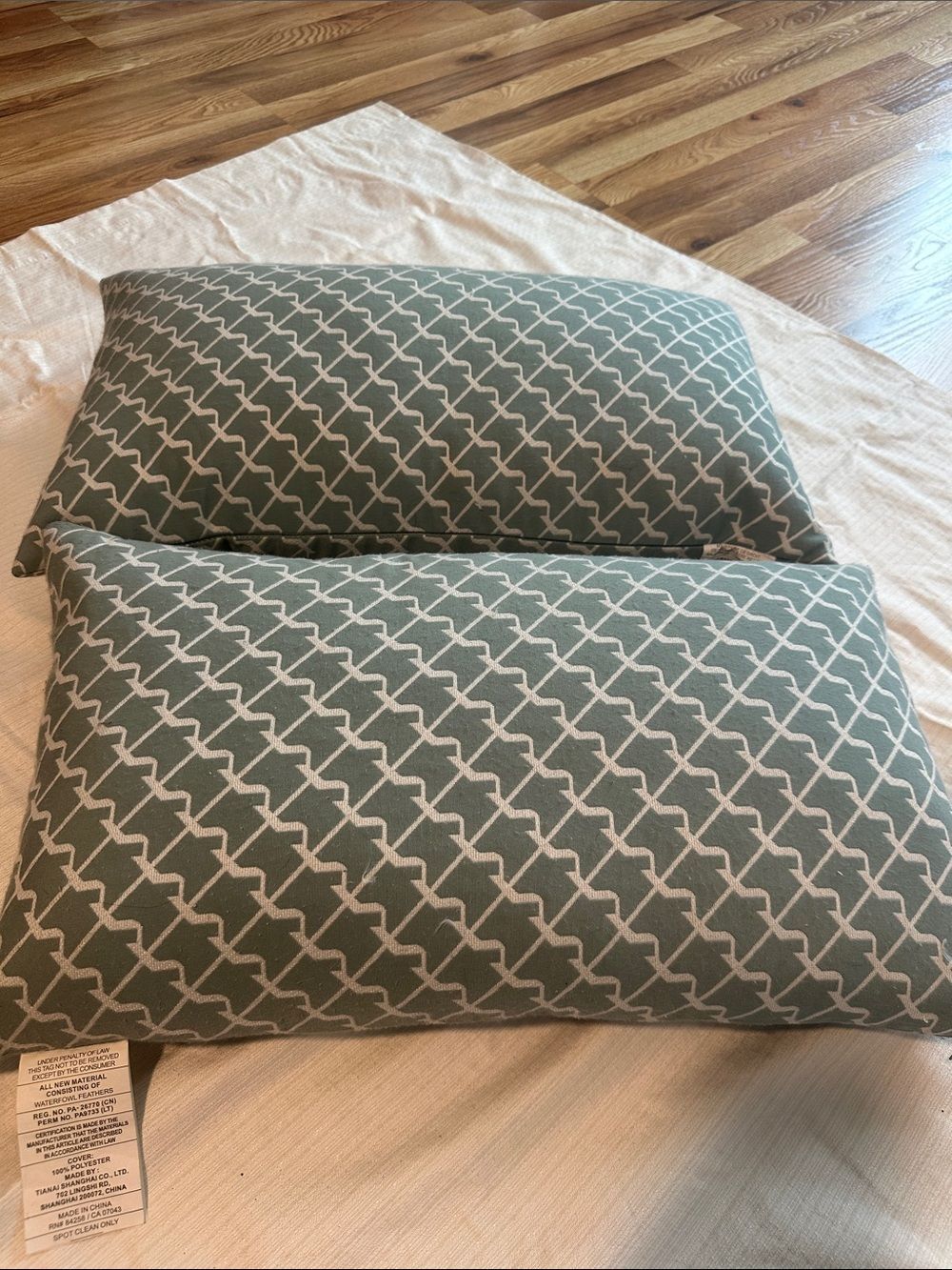 Geometric Sage Decorative Down Throw Pillows (Set of 2) 22”x12”